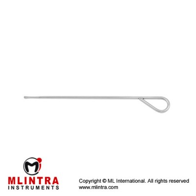 Probe Stainless Steel, 10 cm - 4" Tip Diameter 1 mm Ø